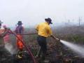 lahan-gambut-terbakar.jpg