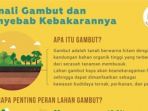 lahan-gambut_20180902_193931.jpg