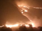 lahan-gili-lawa-terbakar-hebat-diduga-akibat-ulah-turis_20180803_111738.jpg