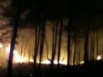lahan-hutan-gunung-mapongka-terbakar_20180915_121446.jpg
