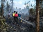 lahan-percontohan-brg-di-kepulauan-meranti-tak-tersentuh-api_20180221_172733.jpg