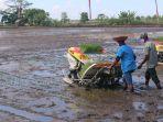 lahan-pertanian-target-tanam-2021-kementan.jpg