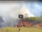 lahan-terbakar-di-air-hitam-pekanbaru-seluas-5-hektare_20180203_131326.jpg