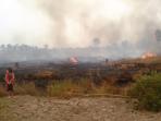 lahan-terbakar_20151107_165550.jpg