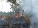 lahan-terbakar_20160823_221217.jpg