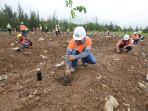Pemulihan Lahan Pascatambang di Lhoknga Aceh, Ditanami 13 Ribu Pohon