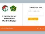 laman-pengumuman-um-ptkin-2023-1.jpg