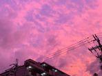 langit-jepang-sebelum-topan-hagibis-melanda.jpg