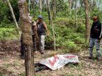 lansia-tewas-di-kebun-karet.jpg