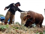 lapak-hewan-kurban-mulai-semarak-di-jakarta_20190731_024629.jpg