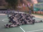 latihan-semi-militer_20150329_203050.jpg