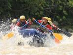 lawe-alas_20151016_142905.jpg