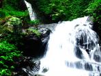 lawean-air-terjun-sendang-tulungagung_20150107_182032.jpg