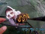 lee-yeom-eul-menangkap-kerang-langka-di-law-of-the-jungle.jpg