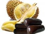 lempok-durian_20150226_120731.jpg