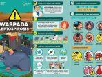 leptospirosis-adalah-penyakit.jpg