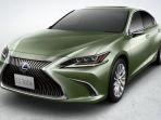 lexus-es-300h-ok1.jpg