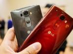 lg-perkenalkan-g-flex-2_20150107_190627.jpg