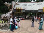 libur-lebaran-di-kebun-binatang-ragunan_20240412_181504.jpg