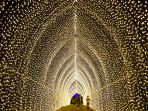 lightscape-di-la-county-arboretum_20211113_225208.jpg