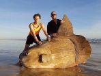 linette-grzelak-memposting-gambar-ikan-ke-facebook.jpg