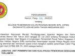 link-pdf-formasi-cpns-bin-2023-dan-syaratnya.jpg