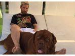 lionel-messi-bersama-anjing-kesayangannya-berjenis-dogue-de-bordeaux.jpg
