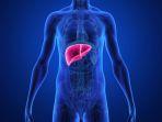 liver-sakit.jpg