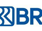 logo-bri-9684.jpg
