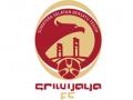 logo-sriwijaya-fc-ok1.jpg