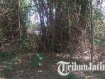 lokasi-kebun-bambu-tempat-hilangnya-bocah-di-mojokerto.jpg