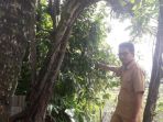 lokasi-korban-gantung-diri-di-pohon_20181105_144228.jpg