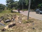lokasi-laka-maut-di-pelita_20181001_132219.jpg