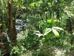 lokasi-pemandian-bali_20150520_080926.jpg