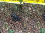 lokasi-penemuan-tengkorak-manusia_20171127_134950.jpg