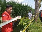lokasi-suami-bu-kades-buang-bayi-hasil-perselingkuhan-di-desa-pojok.jpg