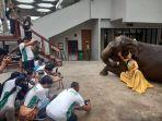 Ribun Peserta Ikuti Lomba Foto dan Video Taman Safari 'Story of the Wild'