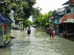 lontar-koja_20170217_143850.jpg