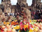 lopburi-monkey-festival-yang-menjadi-daya-tarik-wisata-di-thailand.jpg
