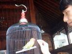 lovebird-kusumo.jpg