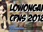 lowongan-cpns-2018_20180920_142908.jpg