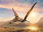 lustrasi-pterosaurus-spesies-reptil-terbang-dari-zaman-dinosaurus-potongan.jpg