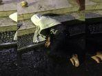 mabuk-alkohol-untuk-luka.jpg