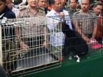 macan-dahan-dan-beruang-madu_20151118_174829.jpg