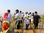 mahasiswa-sistem-informasi-usm-tanam-mangrove_20180709_200704.jpg