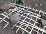 makam-digali-anak1.jpg