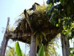 makam-kuni-aya_20150612_140129.jpg