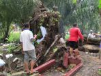 makam-terbongkar_20170105_140226.jpg