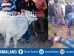 maling-sapi_20170731_231927.jpg