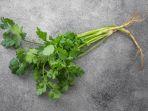 manfaat-air-rebusan-daun-ketumbar.jpg